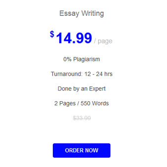 essay writing costs